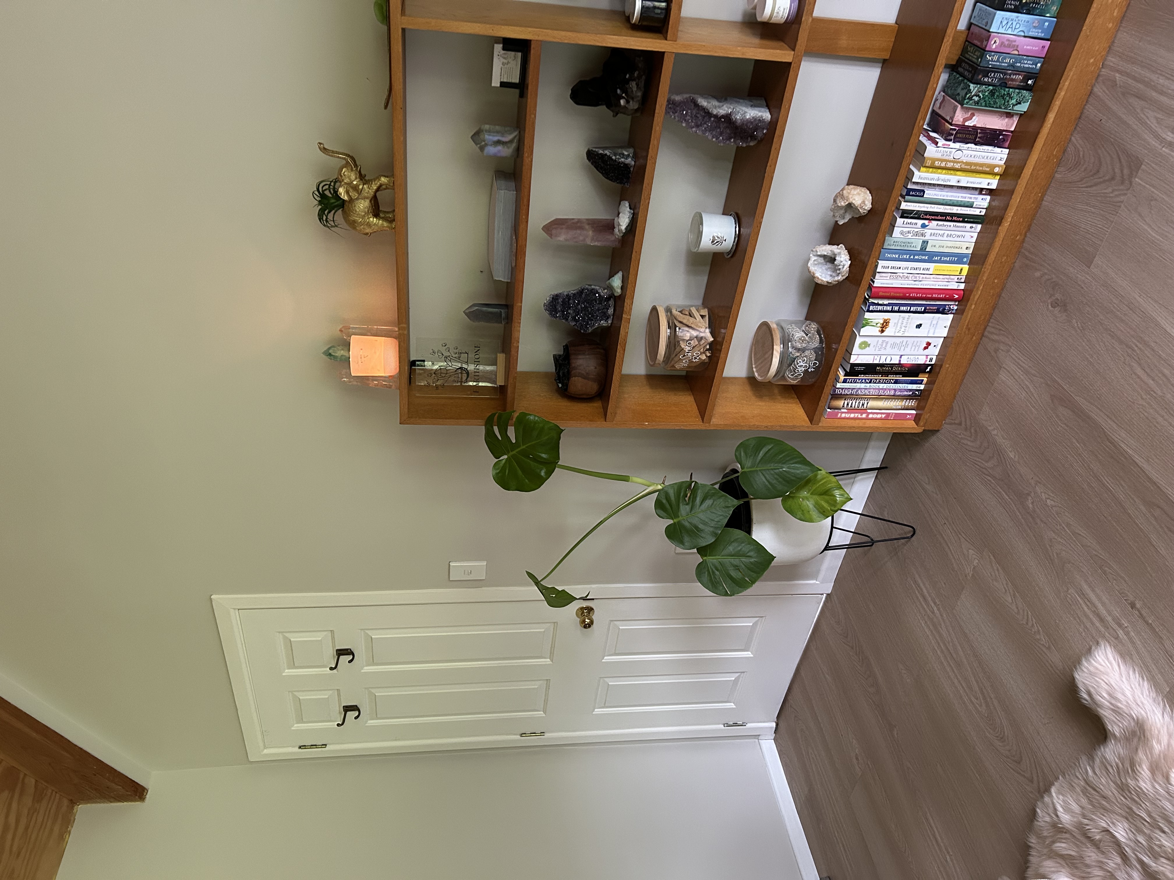 Sana sanctuary details